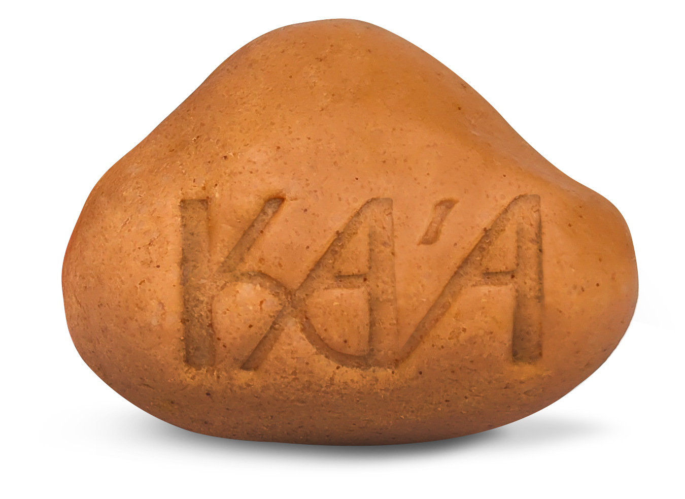 Xampu Ha'ejavi - todos os tipos de cabelo